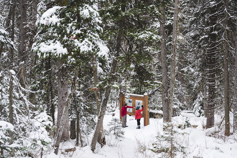 Two people in the snow looking at a notice board in winter resort